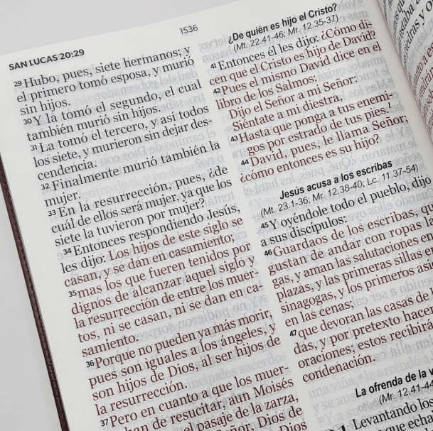 BIBLIA RVR1960 LETRA SÚPER GIGANTE2