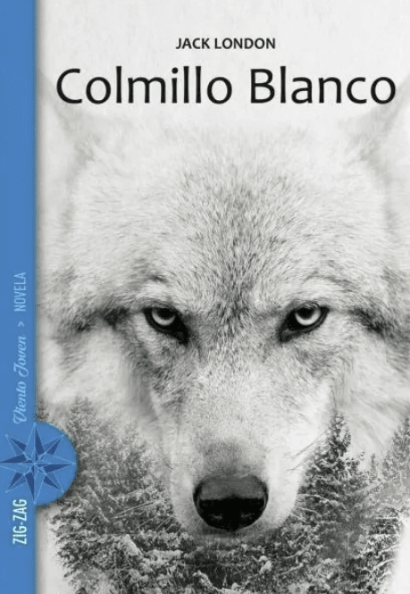 COLMILLO BLANCO2