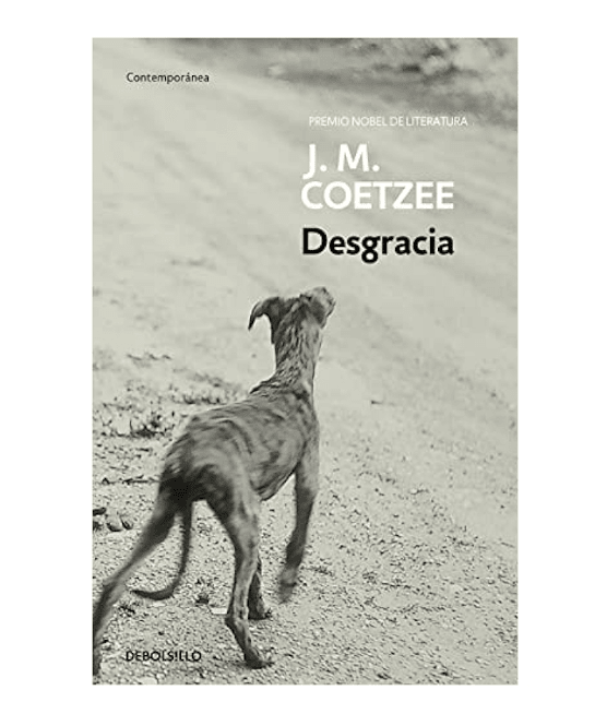 DESGRACIA1