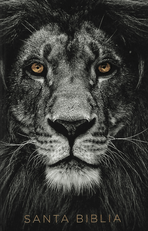 SANTA BIBLIA RVR1960. LEON DE JUDA (LETRA GRANDE) NEGRO1