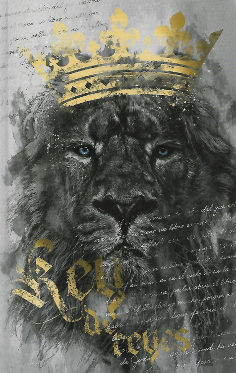 BIBLIA RVR60. LEON REY DE REYES (TAPA DURA)1