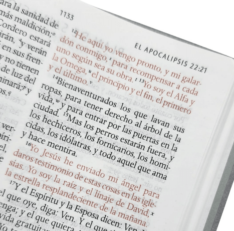 BIBLIA RVR60. LEON REY DE REYES (TAPA DURA)3