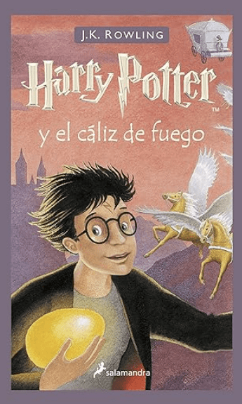 HARRY POTTER 4 Y EL CALIZ DE FUEGO3