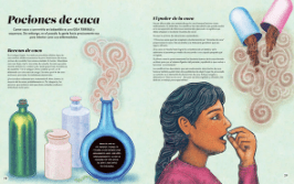 EL LIBRO DE LA CACA2