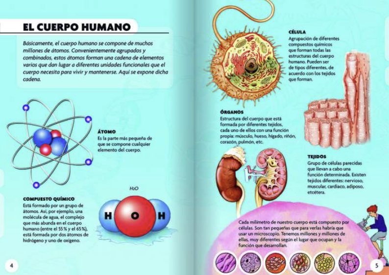 DESCUBRO Y JUEGO - EL CUERPO HUMANO2