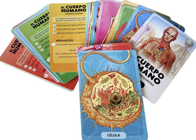 DESCUBRO Y JUEGO - EL CUERPO HUMANO3