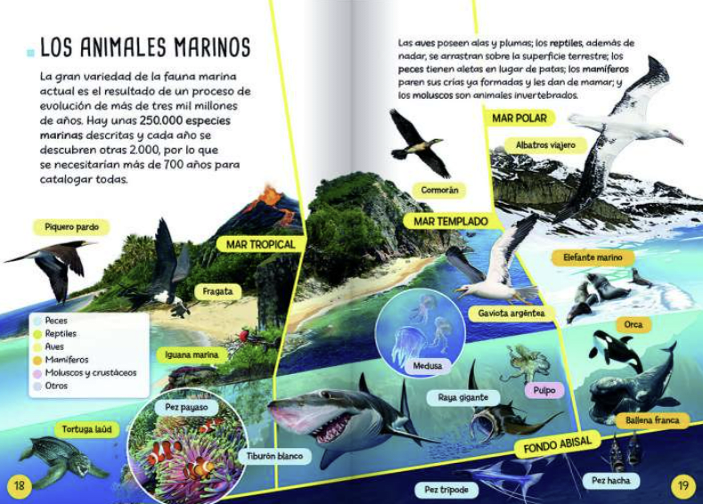 DESCUBRO Y JUEGO - ANIMALES MARINOS2