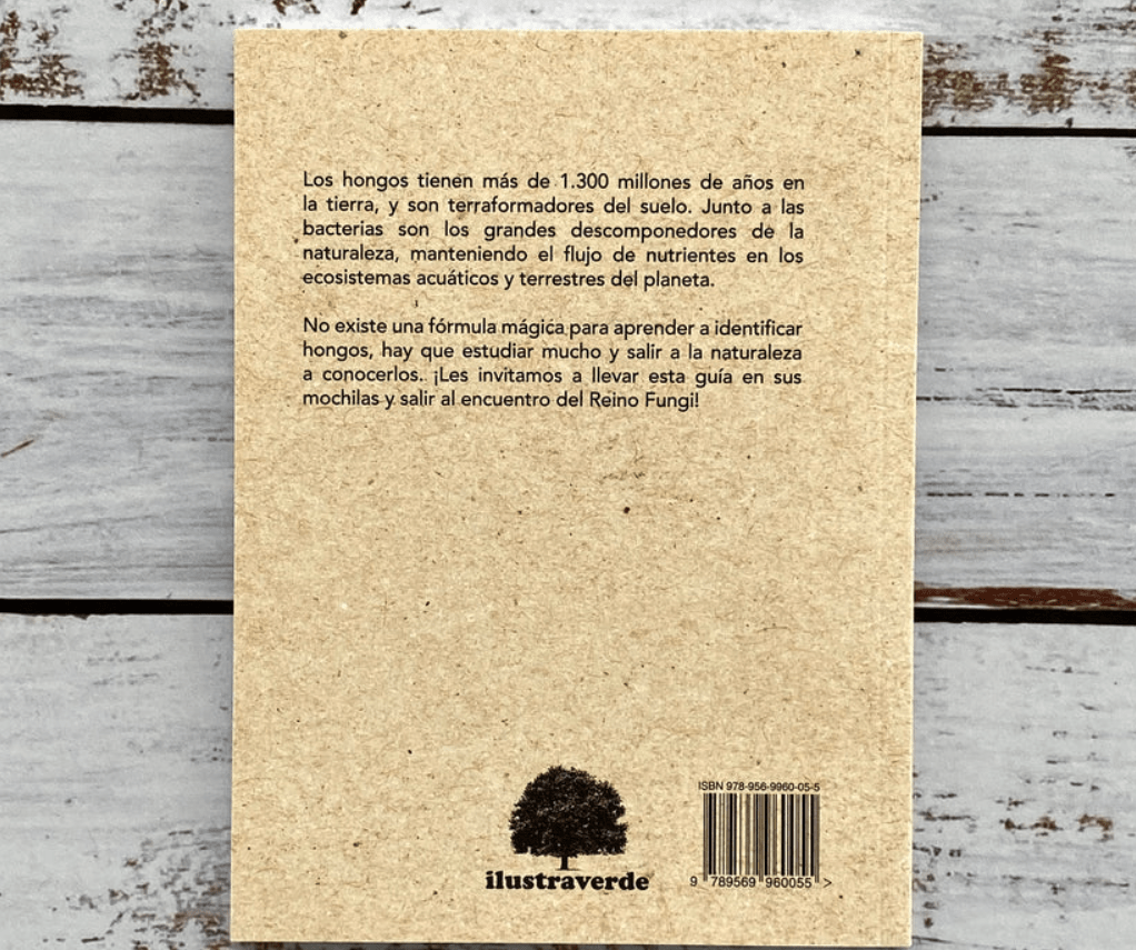 PEQUEÑA GUIA DE CAMPO HONGOS DE CHILE3