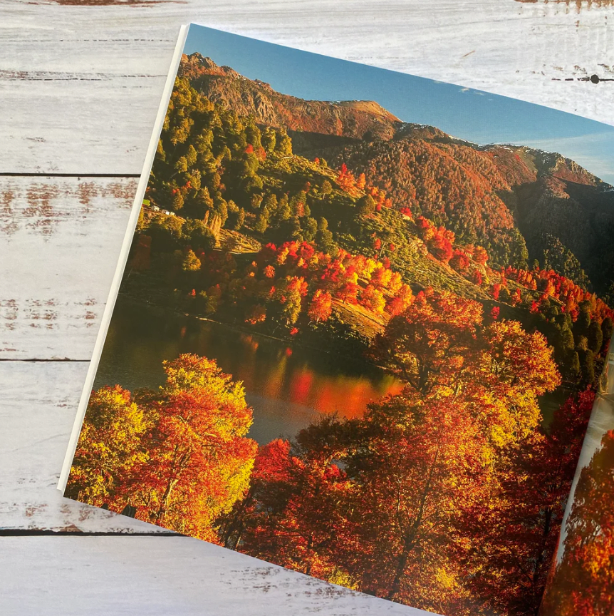 RECORRIENDO ESCENARIOS DE CHILE2