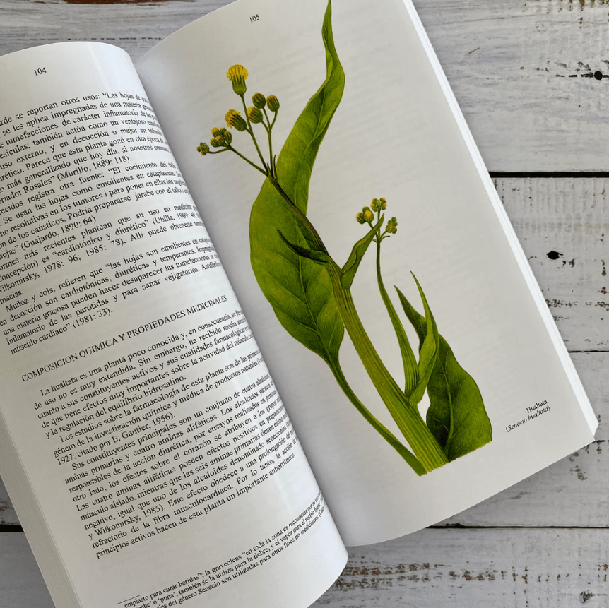 PLANTAS MEDICINALES DE USO COMÚN EN CHILE1