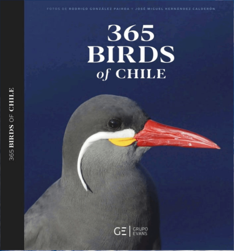 365 BIRDS OF CHILE - 365 AVES DE CHILE1