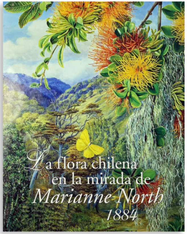 FLORA SILVESTRE EN LA MIRADA DE MARIANNE NORTH 18841