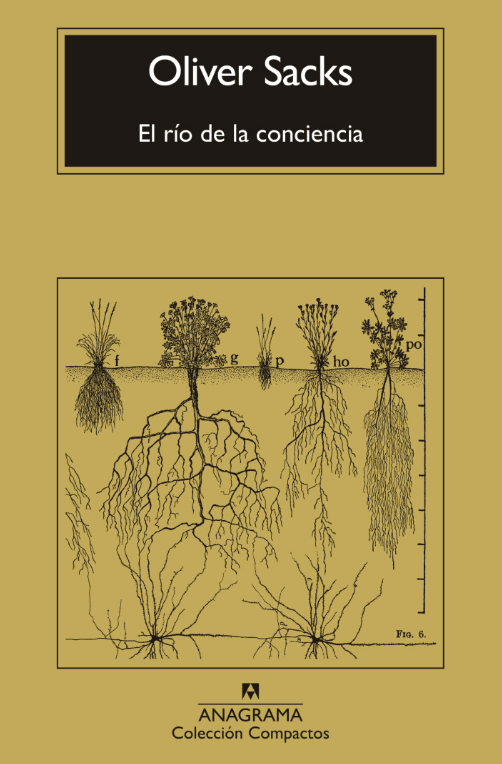 EL RIO DE LA CONCIENCIA1