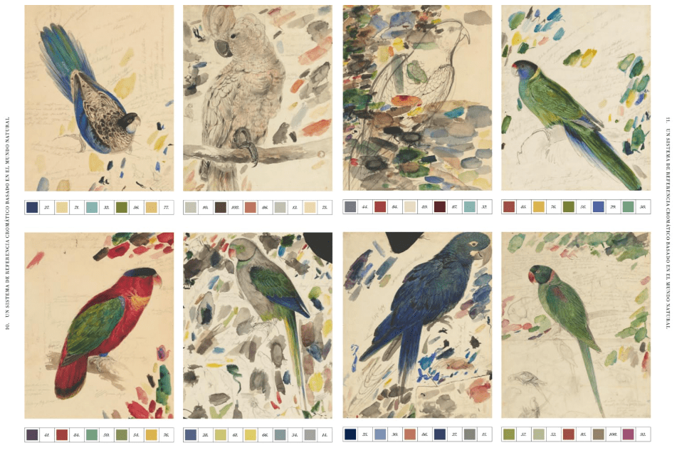 LOS COLORES DE LA  NATURALEZA2