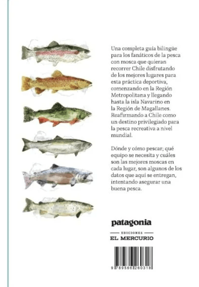 LOS MEJORES LUGARES PARA PESCAR CON MOSCA EN CHILE2