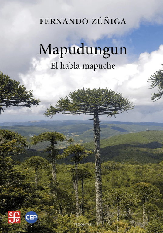 MAPUDUNGÚN. EL HABLA MAPUCHE1