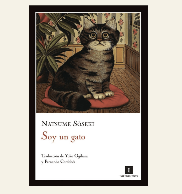 SOY UN GATO1