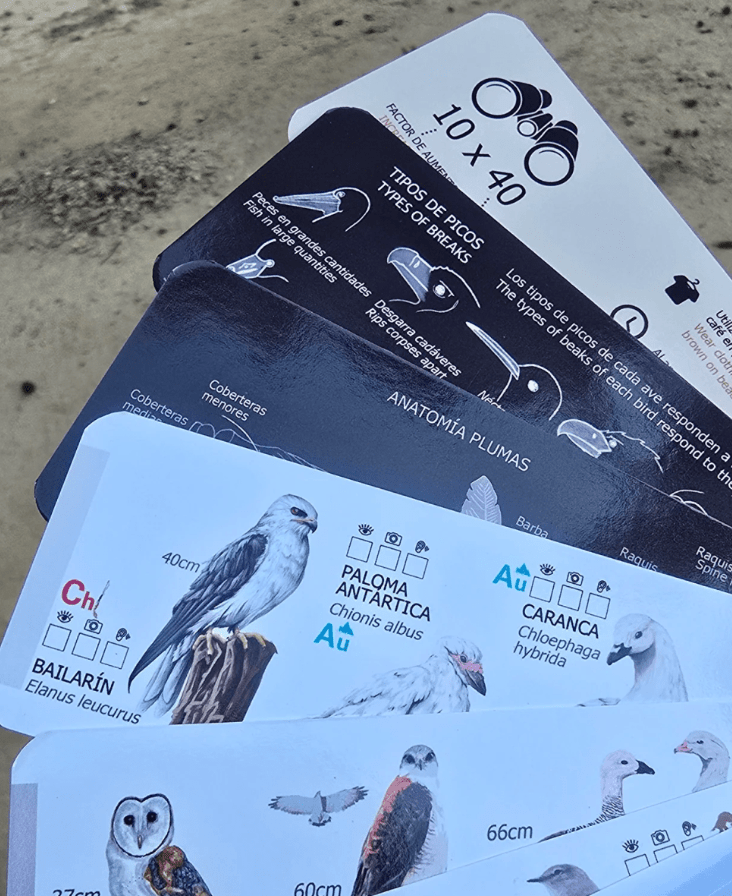 PANTONERA AVES DE CHILE2