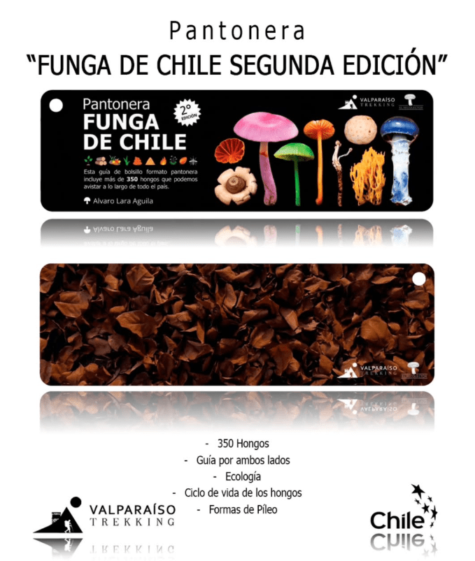 PANTONERA FUNGA DE CHILE1
