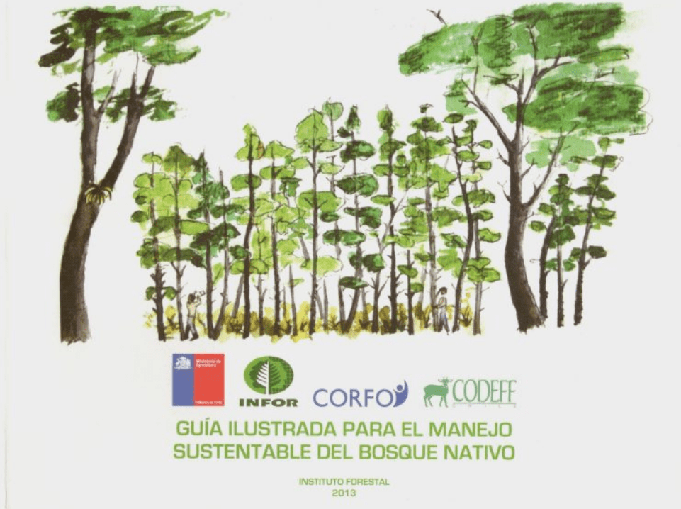 GUIA ILUSTRADA PARA EL MANEJO SUSTENTABLE DEL BOSQUE NATIVO1