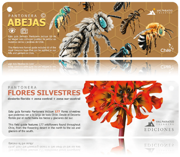 PANTONERA DOBLE ABEJAS Y FLORES SILVESTRES1