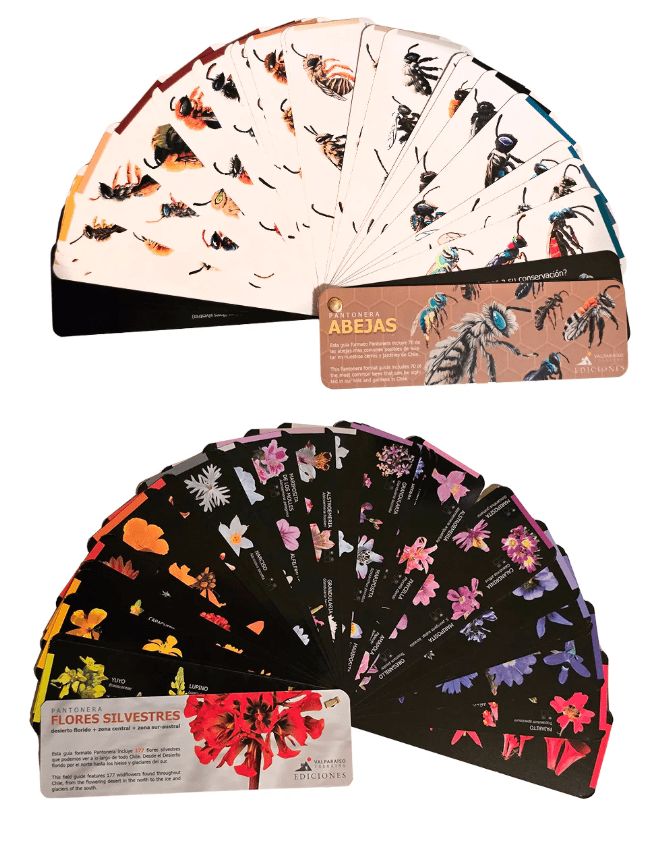 PANTONERA DOBLE ABEJAS Y FLORES SILVESTRES2
