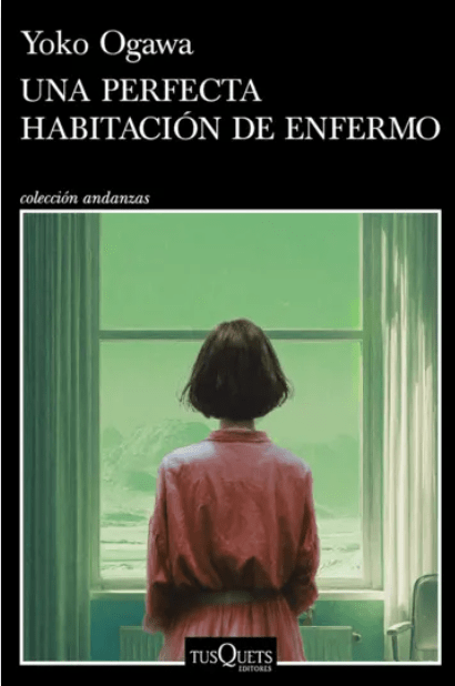 UNA PERFECTA HABITACION DE ENFERMO1
