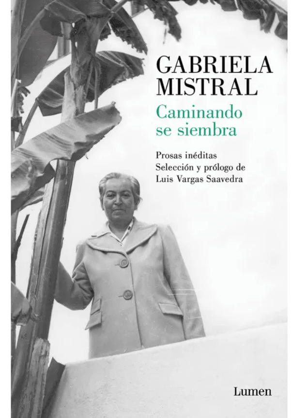 CAMINANDO SE SIEMBRA1