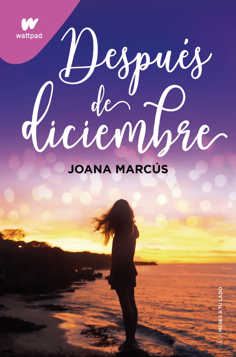 DESPUES DE DICIEMBRE1