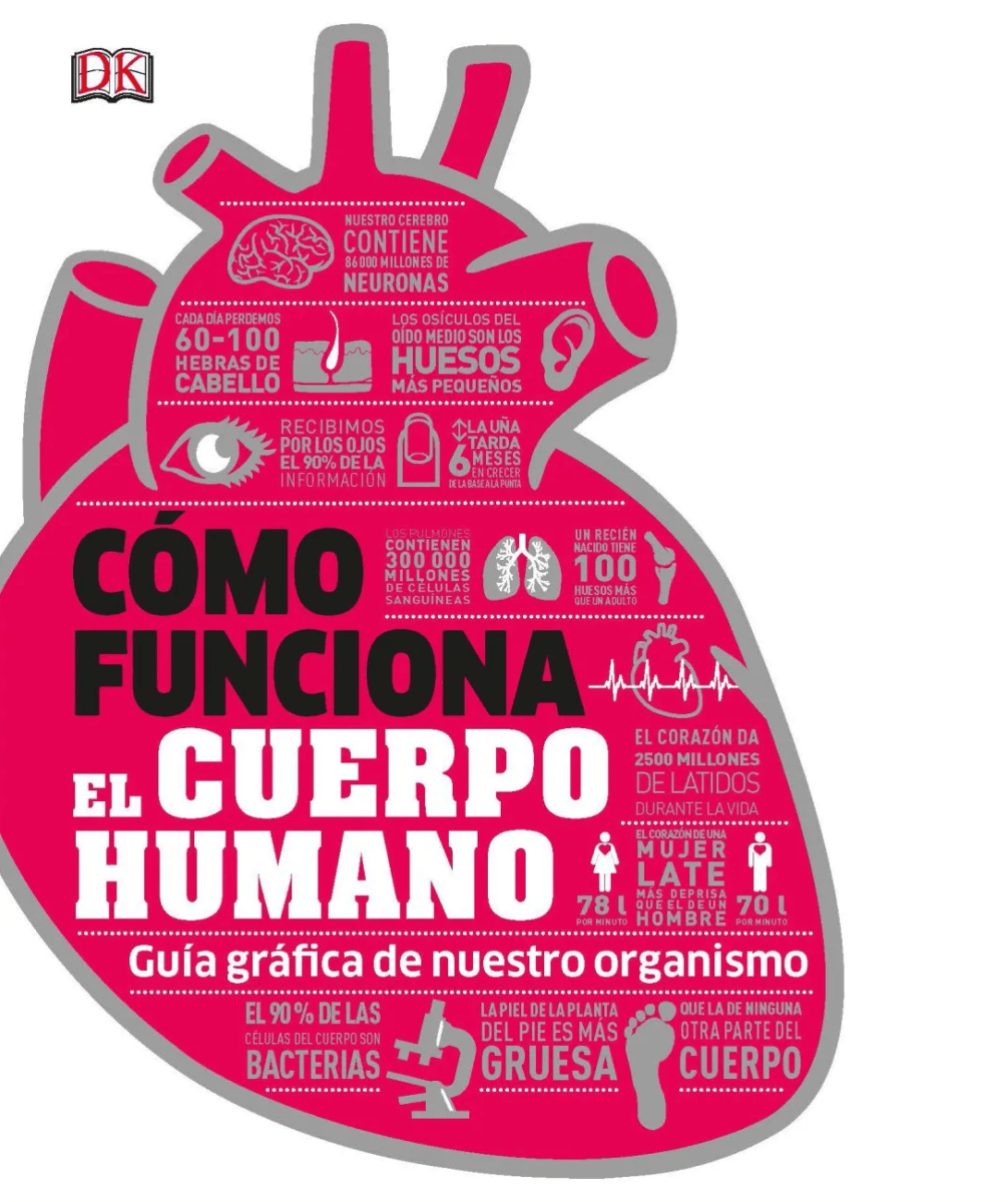CÓMO FUNCIONA EL CUERPO HUMANO1