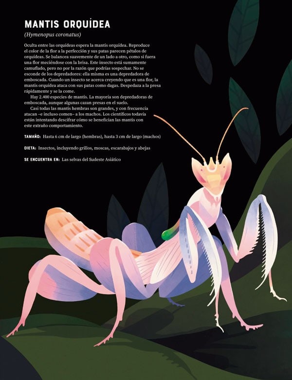 ENCICLOPEDIA DE LOS ANIMALES4