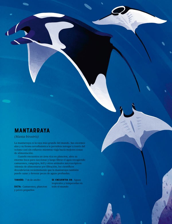 ENCICLOPEDIA DE LOS ANIMALES5