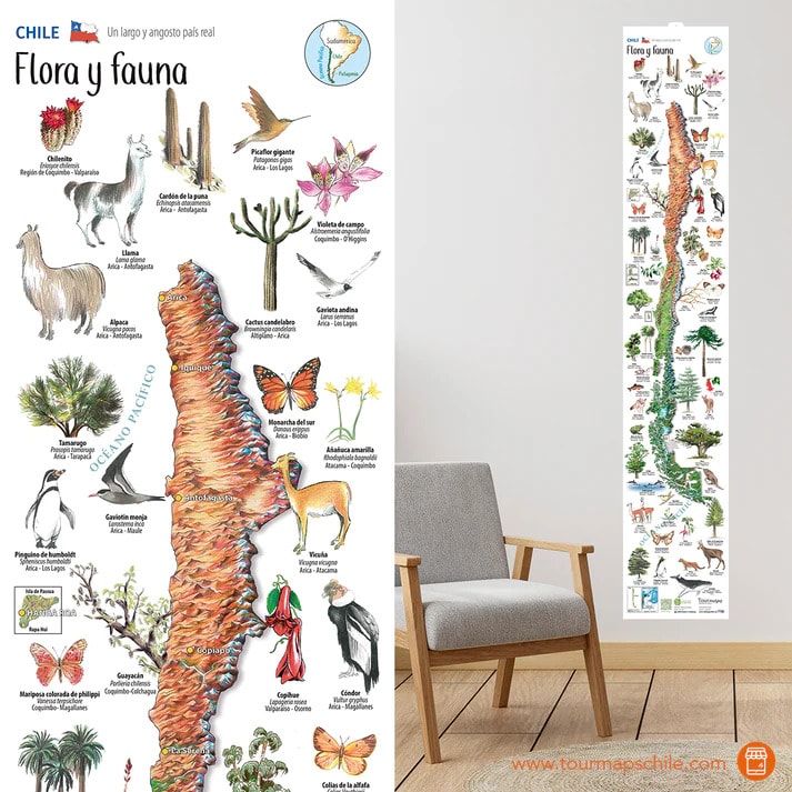MAPA ILUSTRADO FLORA Y FAUNA DE CHILE1
