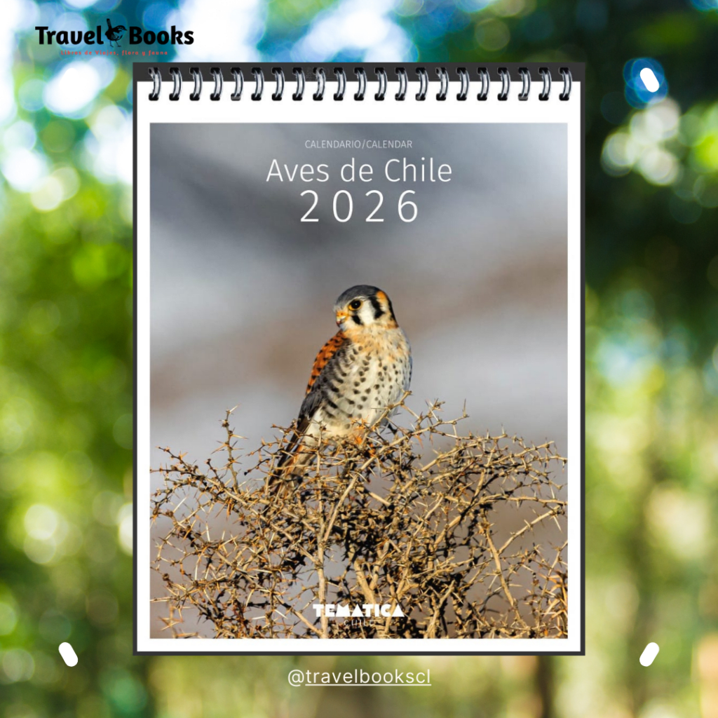 CALENDARIO MURAL 2026 - AVES DE CHILE1