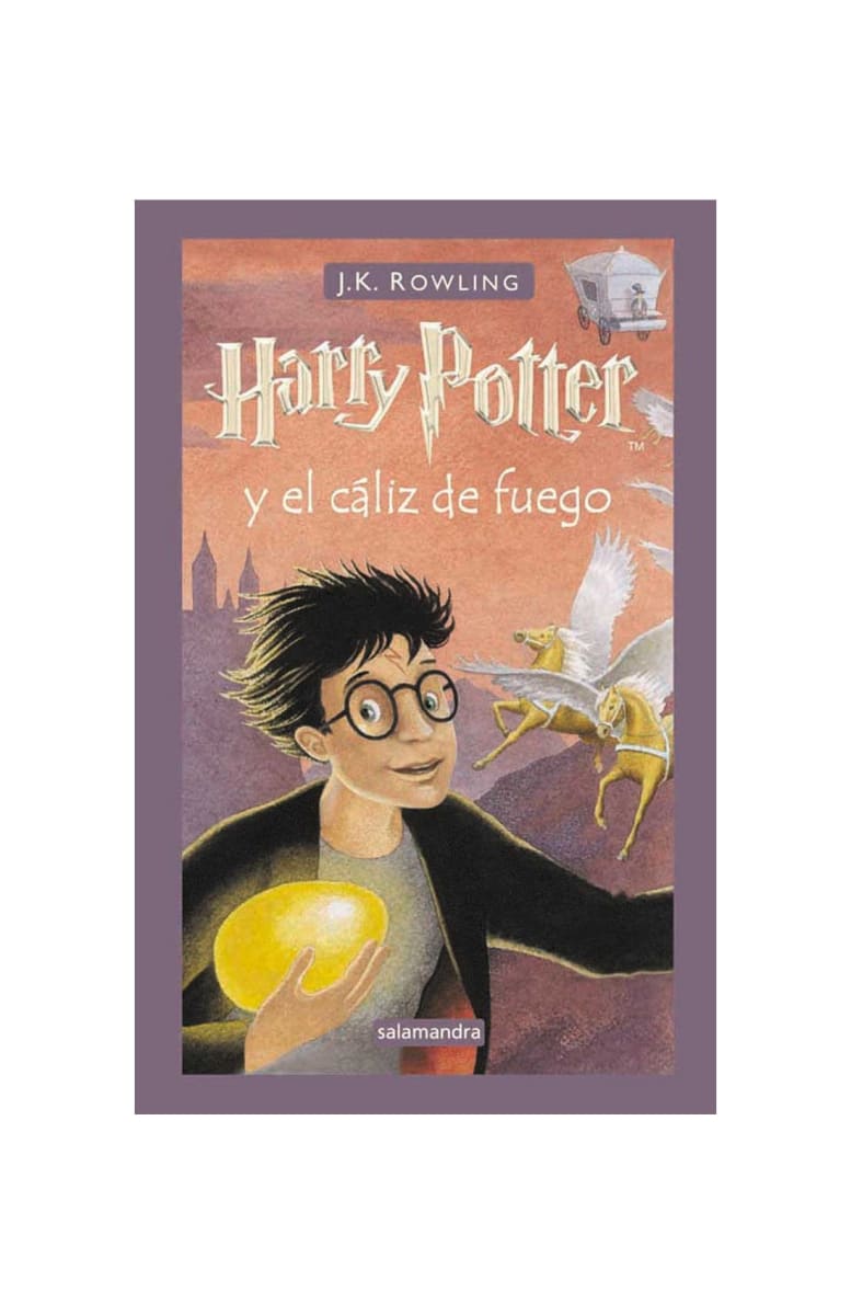 HARRY POTTER 4 Y EL CALIZ DE FUEGO1