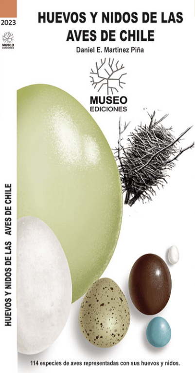 AVES CONTINENTALES DE CHILE CENTRAL DESPLEGABLEE3