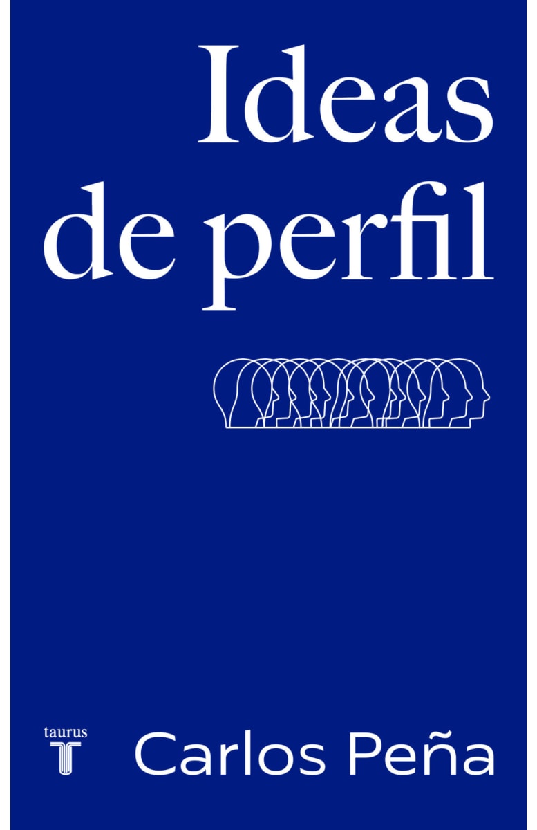 IDEAS DE PERFIL1