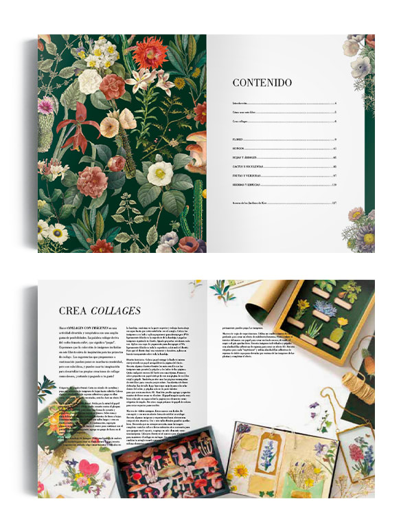 ILUSTRACIÓN BOTÁNICA PARA RECORTAR Y HACER COLLAGE3