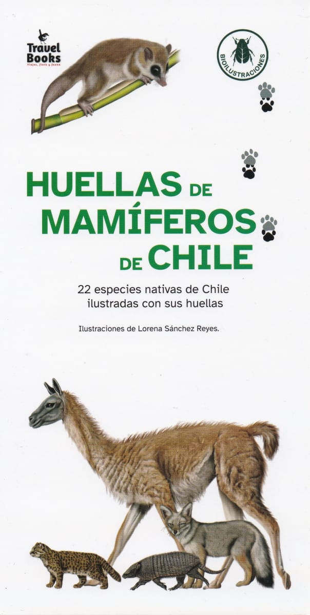 HUELLAS DE MAMIFEROS DE CHILE - GUIA VISUAL DESPLEGABLE1