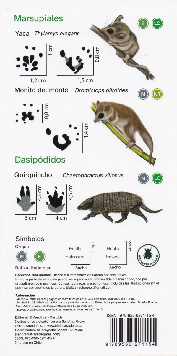 HUELLAS DE MAMIFEROS DE CHILE - GUIA VISUAL DESPLEGABLE3