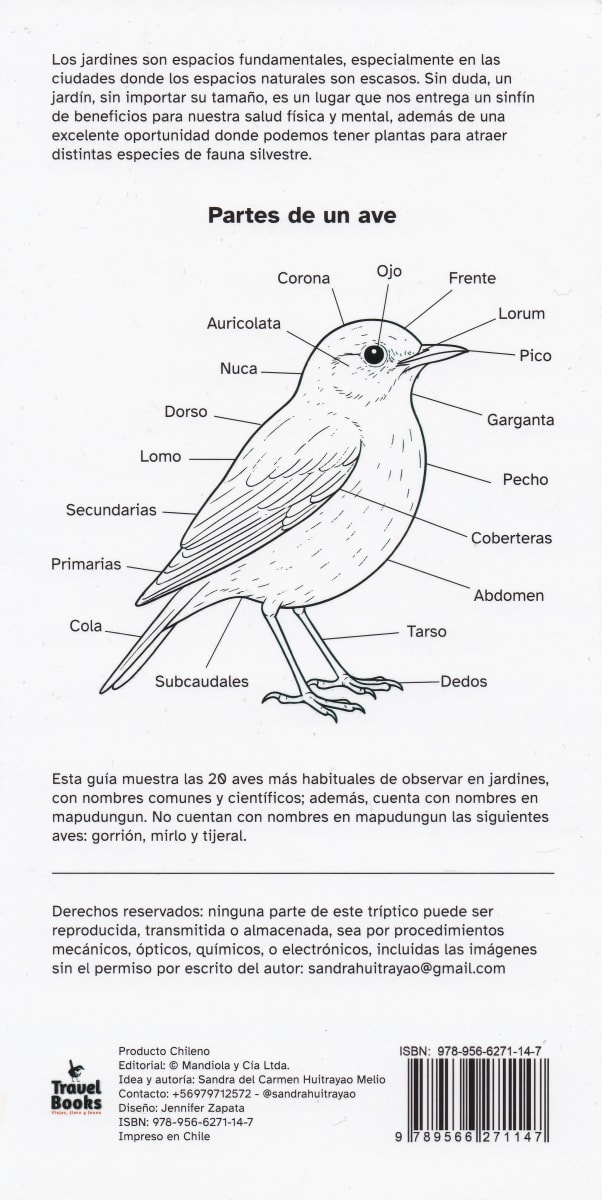 AVES DE JARDIN - GUIA VISUAL DESPLEGABLE2