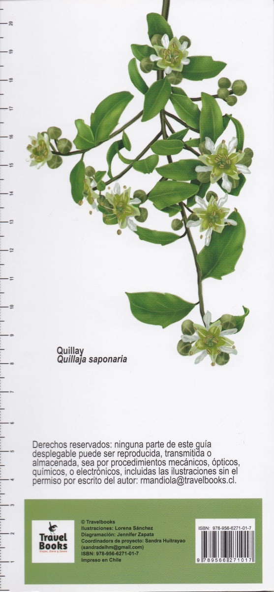 PLANTAS MEDICINALES DE USO TRADICIONAL2