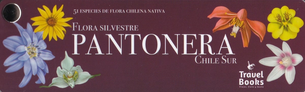 PANTONERA FLORA SILVESTRE ZONA SUR1