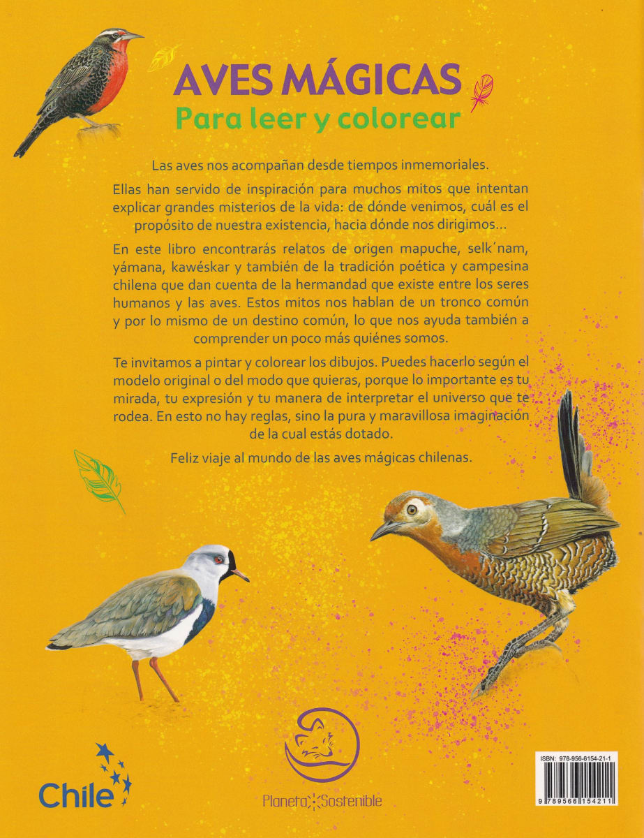 AVES MAGICAS PARA LEER Y COLOREAS2