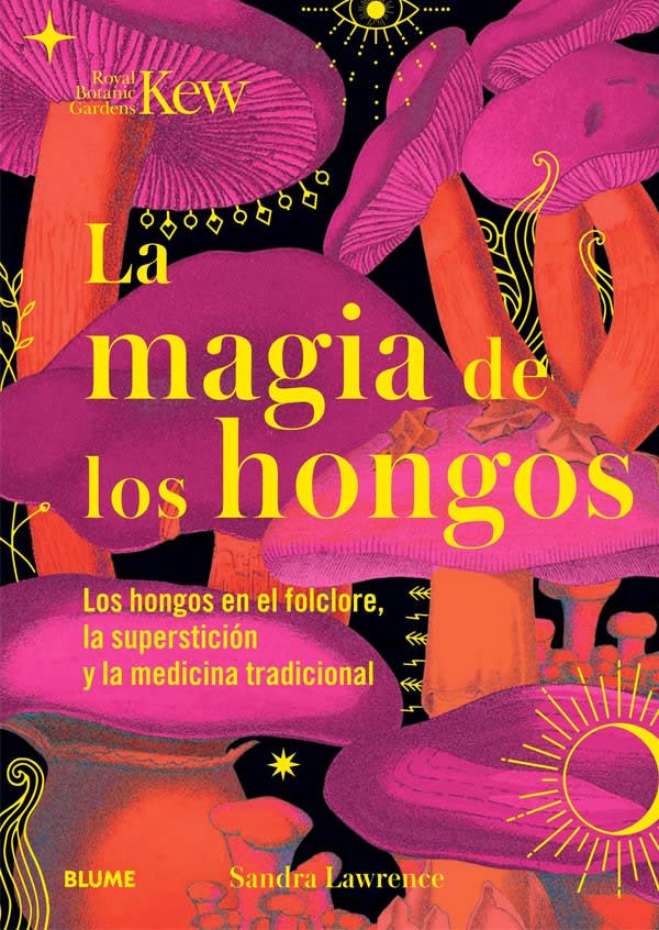 LA MAGIA DE LOS HONGOS1
