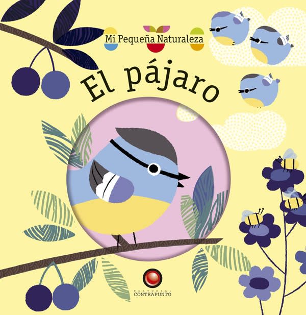 EL PAJARO1