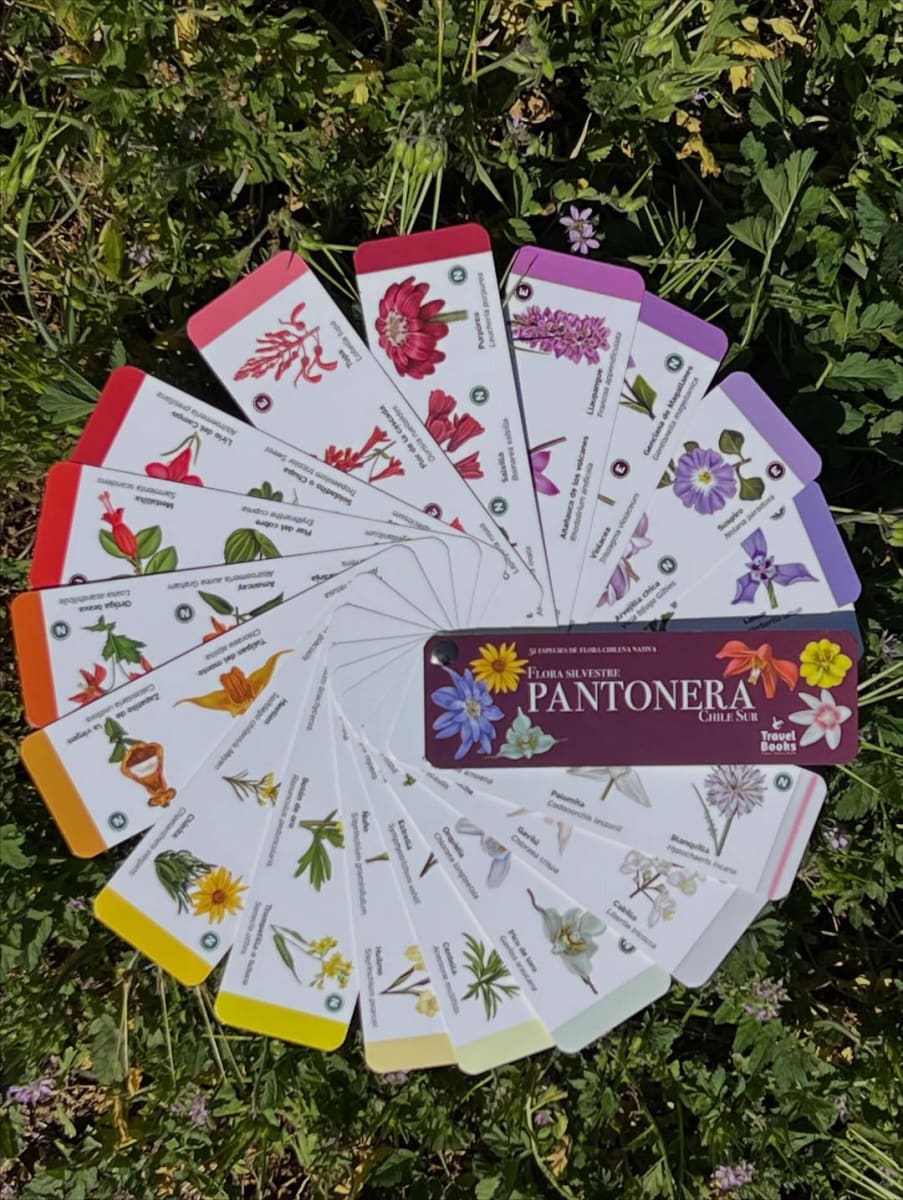 PANTONERA FLORA SILVESTRE ZONA SUR2