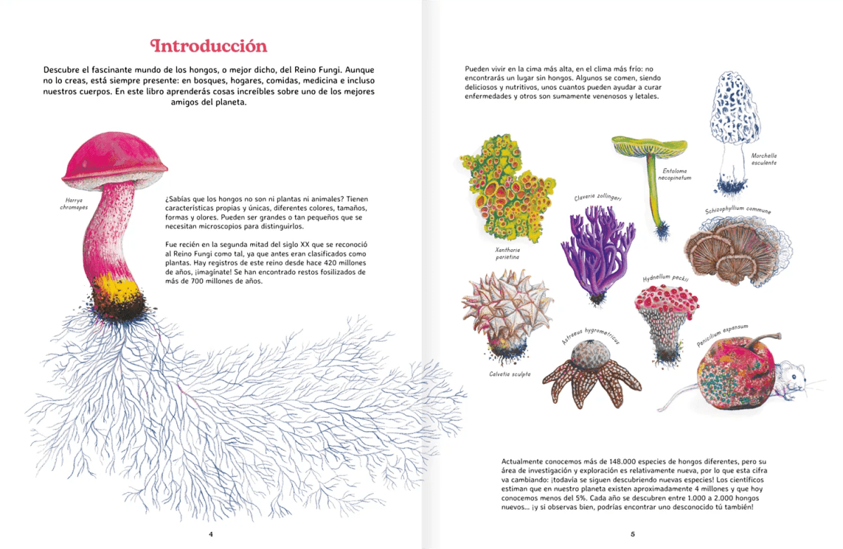 REINO FUNGI: MUNDO ENTRELAZADO2