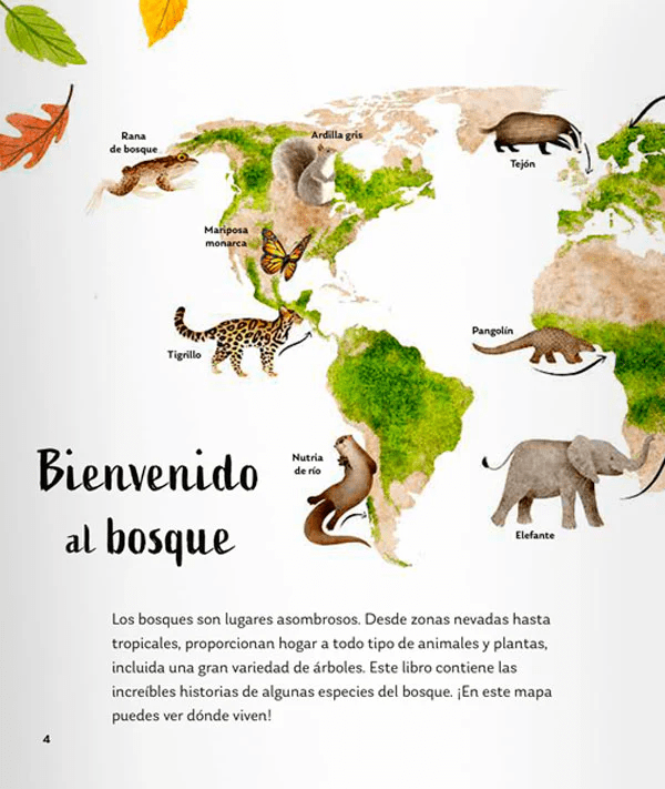 SECRETOS DEL BOSQUE1