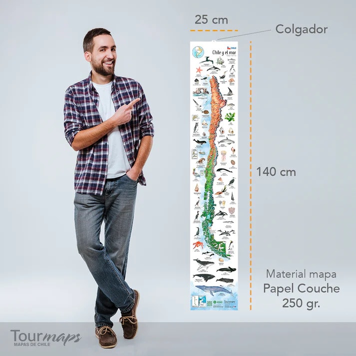 MAPA ILUSTRADO AVES DE CHILE3